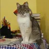 Отзыв от Катя Потапова